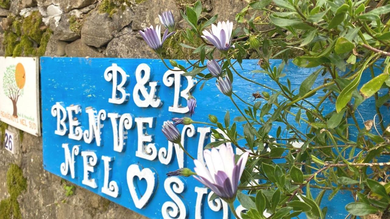 Benvenuti Nel Sud Bed & Breakfast Sessa Cilento Eksteriør bilde