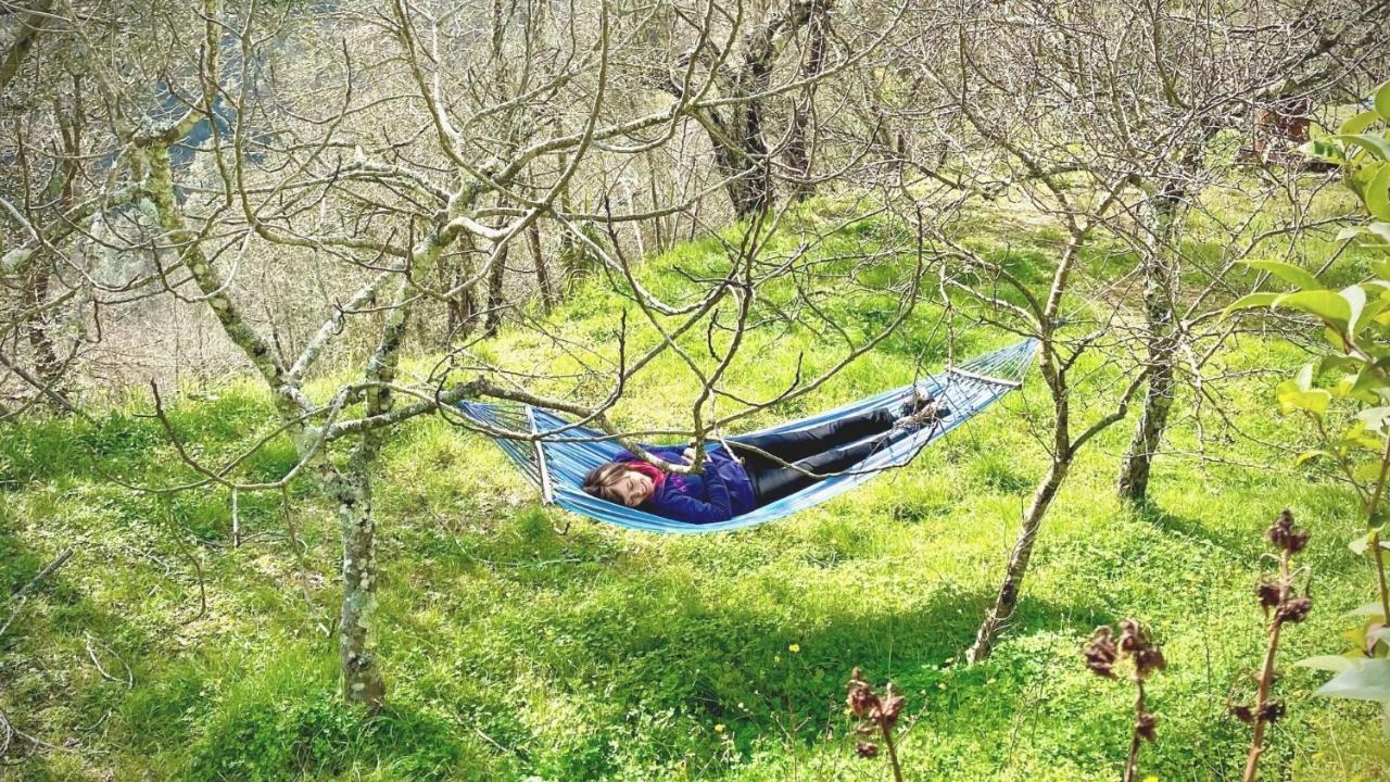 Benvenuti Nel Sud Bed & Breakfast Sessa Cilento Eksteriør bilde