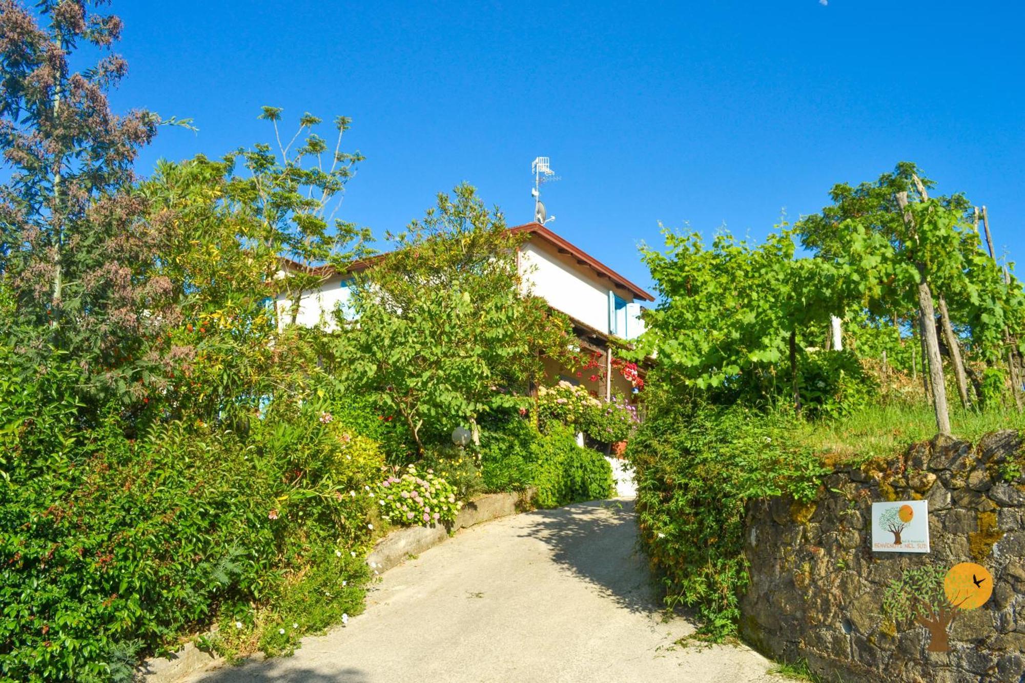 Benvenuti Nel Sud Bed & Breakfast Sessa Cilento Eksteriør bilde
