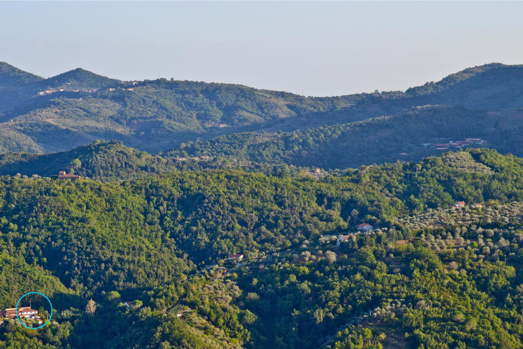 Benvenuti Nel Sud Bed & Breakfast Sessa Cilento Eksteriør bilde
