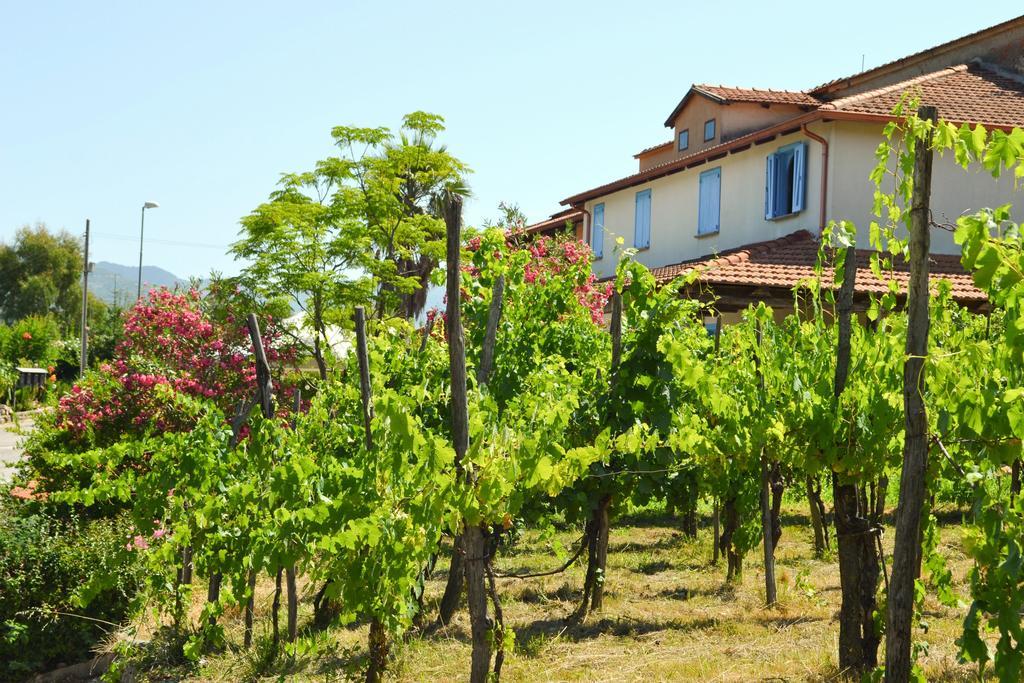Benvenuti Nel Sud Bed & Breakfast Sessa Cilento Eksteriør bilde