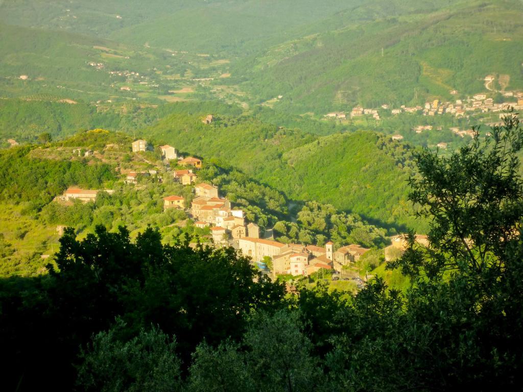 Benvenuti Nel Sud Bed & Breakfast Sessa Cilento Eksteriør bilde