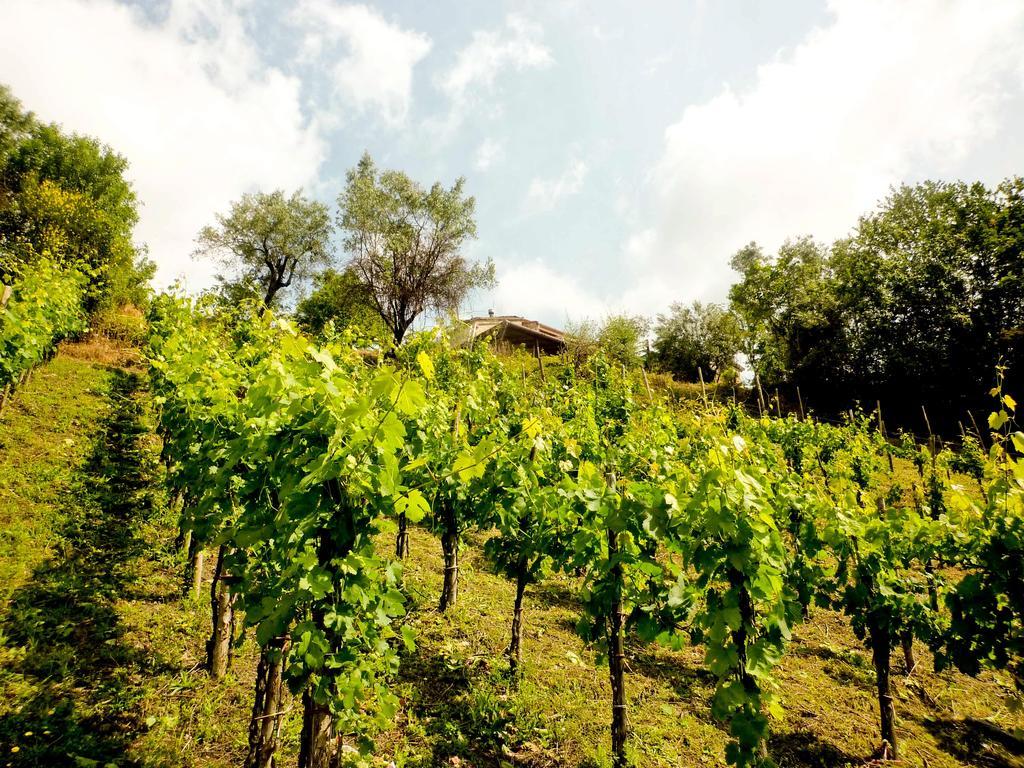 Benvenuti Nel Sud Bed & Breakfast Sessa Cilento Eksteriør bilde