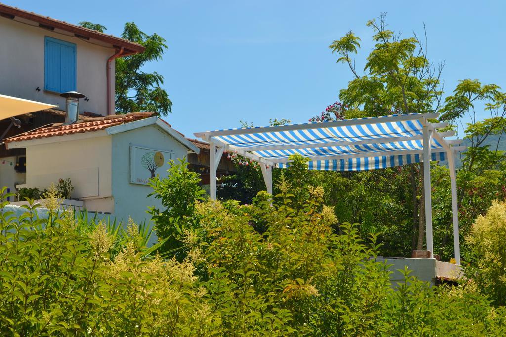 Benvenuti Nel Sud Bed & Breakfast Sessa Cilento Eksteriør bilde
