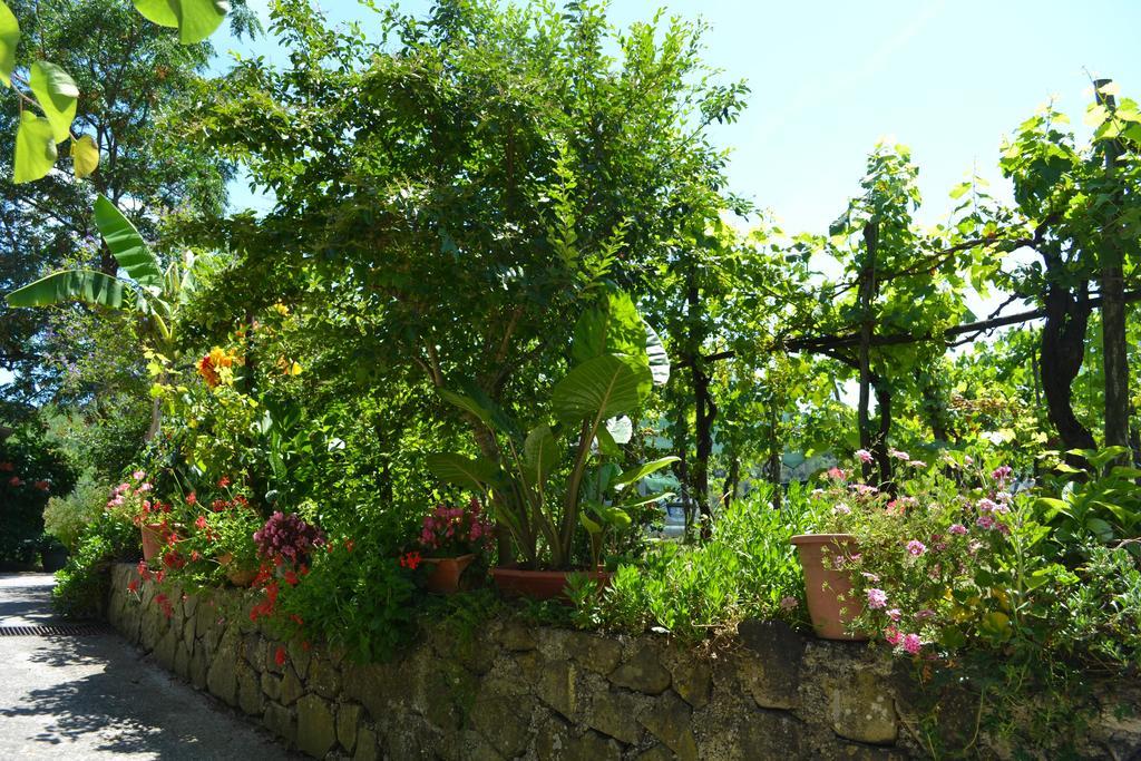 Benvenuti Nel Sud Bed & Breakfast Sessa Cilento Eksteriør bilde