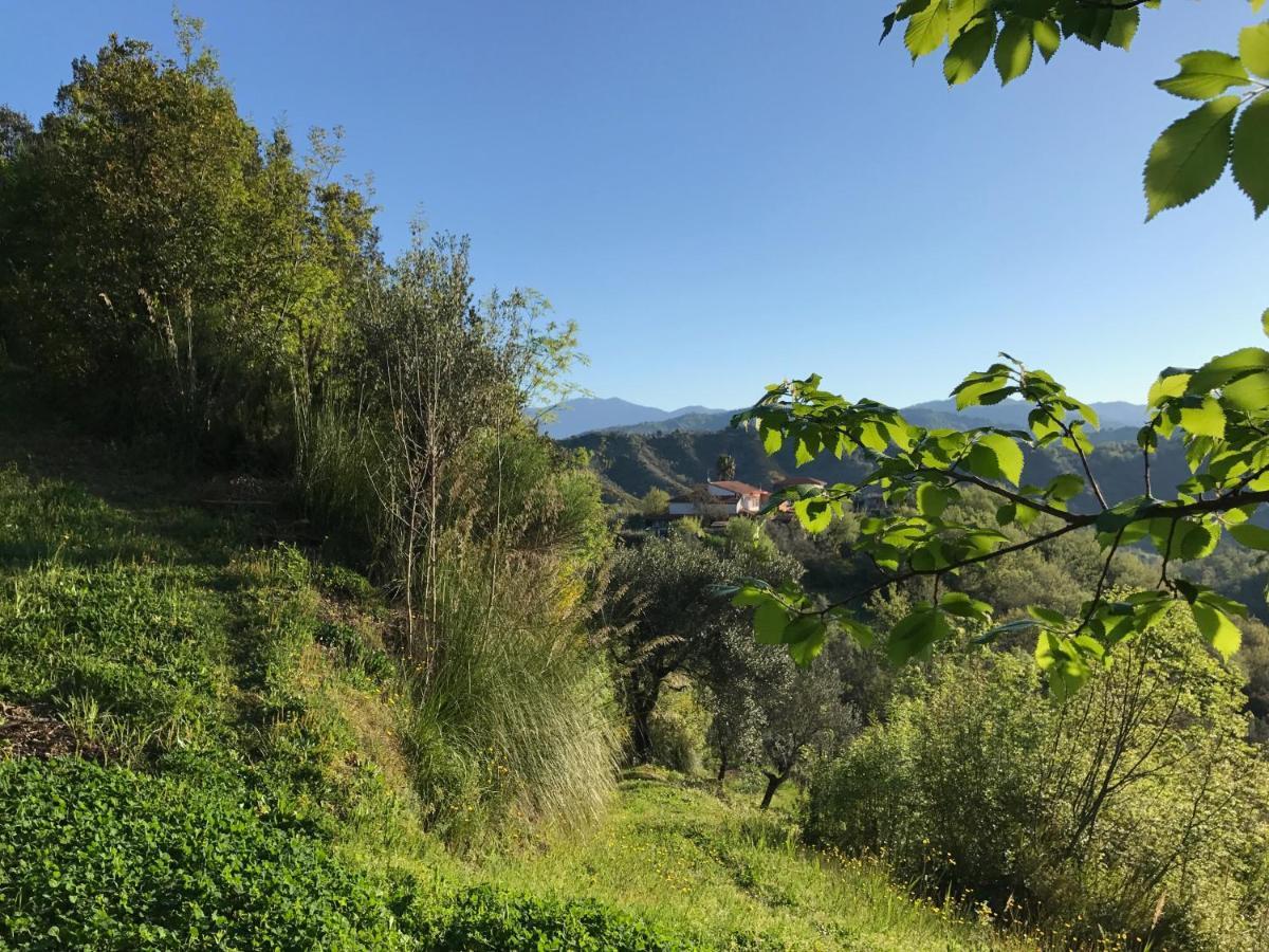 Benvenuti Nel Sud Bed & Breakfast Sessa Cilento Eksteriør bilde